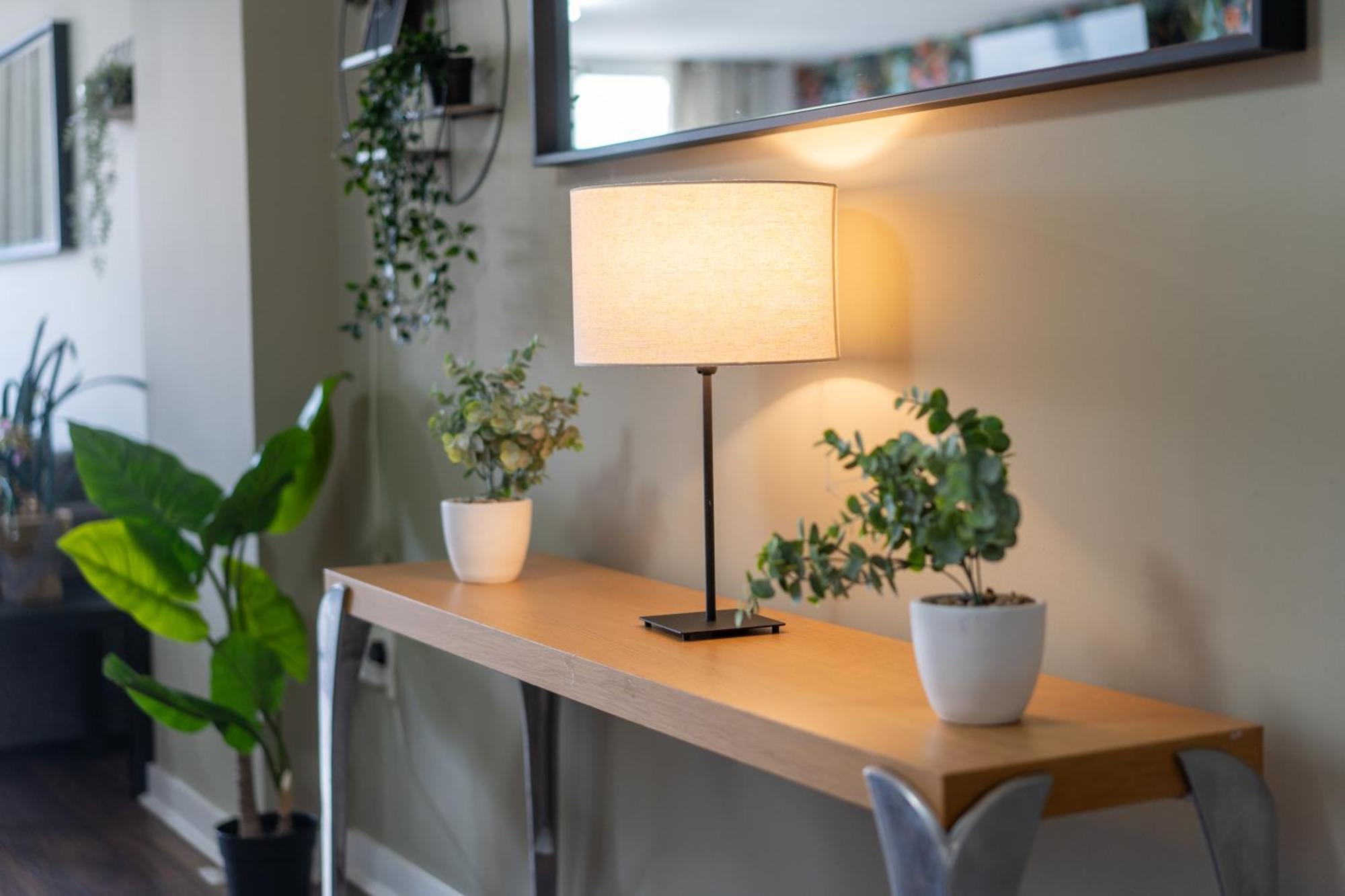 Apartment Movie House Executive - Secure Free Parking Belfast