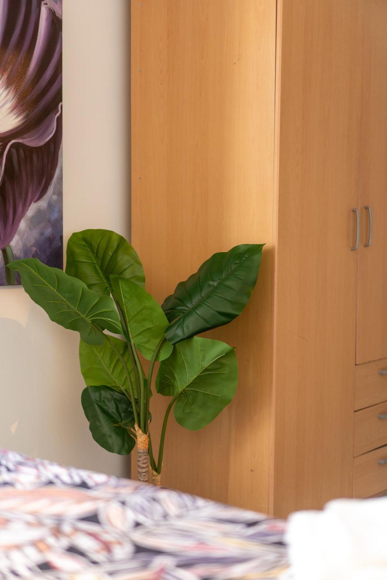 Apartment Movie House Executive - Secure Free Parking Belfast